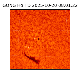 gong - 2025-10-20T08:01:22