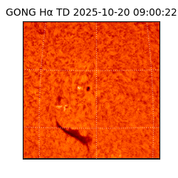gong - 2025-10-20T09:00:22
