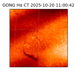 gong - 2025-10-20T11:00:42