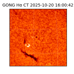 gong - 2025-10-20T16:00:42