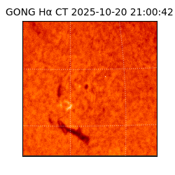 gong - 2025-10-20T21:00:42
