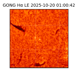 gong - 2025-10-20T01:00:42