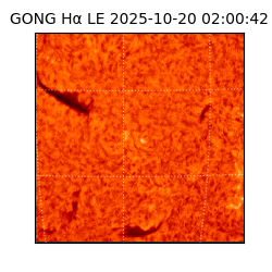 gong - 2025-10-20T02:00:42