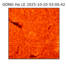 gong - 2025-10-20T03:00:42