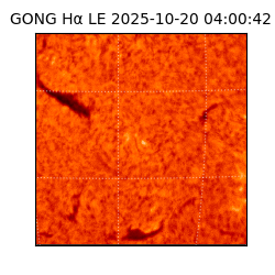 gong - 2025-10-20T04:00:42