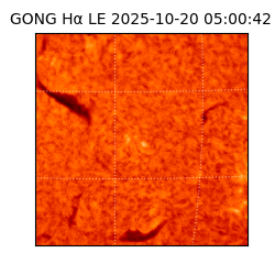 gong - 2025-10-20T05:00:42