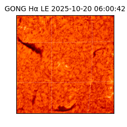 gong - 2025-10-20T06:00:42
