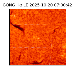 gong - 2025-10-20T07:00:42