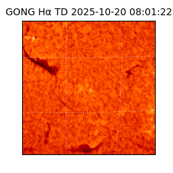 gong - 2025-10-20T08:01:22