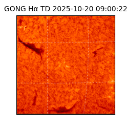 gong - 2025-10-20T09:00:22