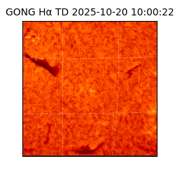 gong - 2025-10-20T10:00:22