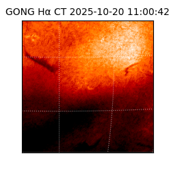 gong - 2025-10-20T11:00:42
