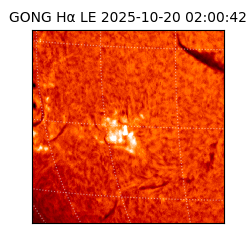 gong - 2025-10-20T02:00:42