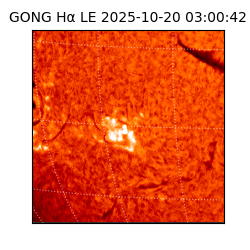 gong - 2025-10-20T03:00:42