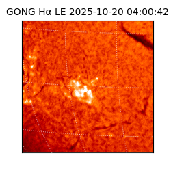 gong - 2025-10-20T04:00:42