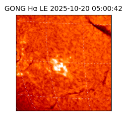 gong - 2025-10-20T05:00:42