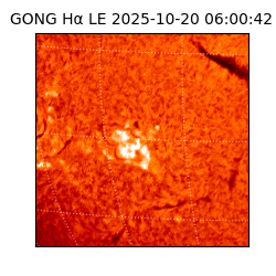 gong - 2025-10-20T06:00:42