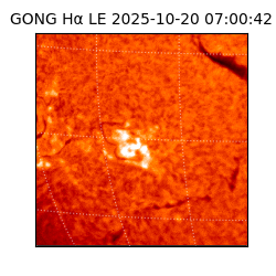 gong - 2025-10-20T07:00:42