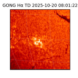 gong - 2025-10-20T08:01:22