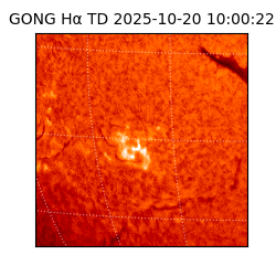 gong - 2025-10-20T10:00:22