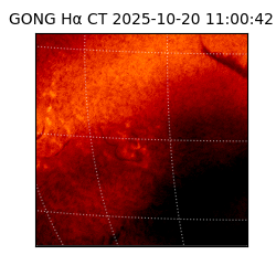 gong - 2025-10-20T11:00:42