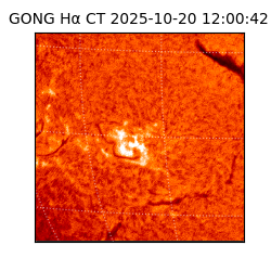 gong - 2025-10-20T12:00:42