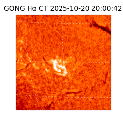 gong - 2025-10-20T20:00:42