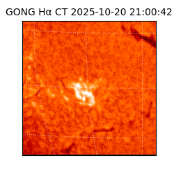 gong - 2025-10-20T21:00:42