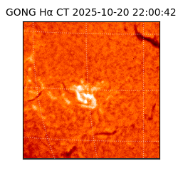 gong - 2025-10-20T22:00:42
