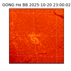 gong - 2025-10-20T23:00:02