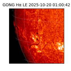 gong - 2025-10-20T01:00:42