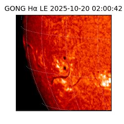 gong - 2025-10-20T02:00:42