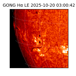 gong - 2025-10-20T03:00:42