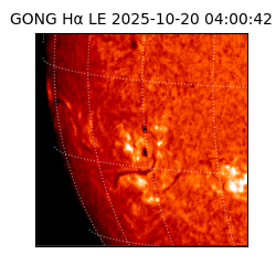 gong - 2025-10-20T04:00:42