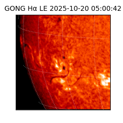 gong - 2025-10-20T05:00:42