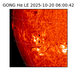 gong - 2025-10-20T06:00:42