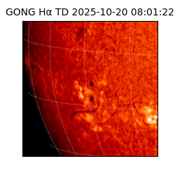 gong - 2025-10-20T08:01:22