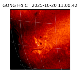 gong - 2025-10-20T11:00:42