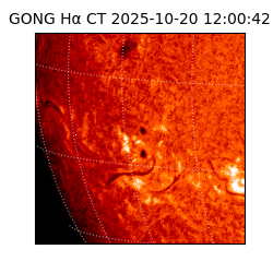 gong - 2025-10-20T12:00:42