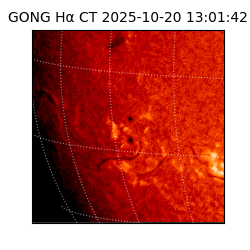 gong - 2025-10-20T13:01:42