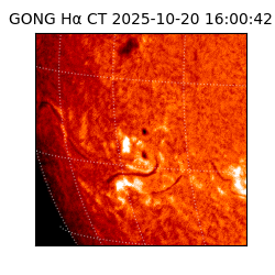 gong - 2025-10-20T16:00:42