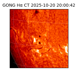 gong - 2025-10-20T20:00:42