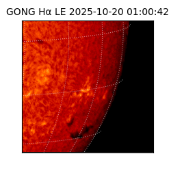 gong - 2025-10-20T01:00:42
