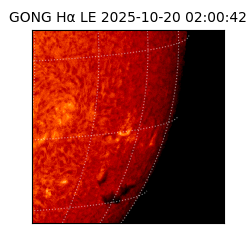 gong - 2025-10-20T02:00:42