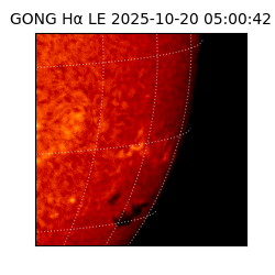 gong - 2025-10-20T05:00:42