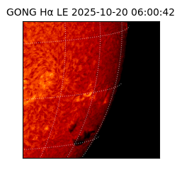 gong - 2025-10-20T06:00:42