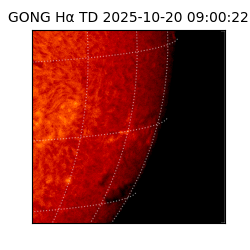 gong - 2025-10-20T09:00:22