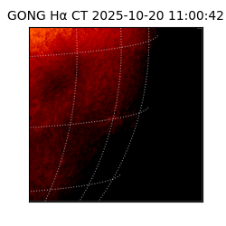gong - 2025-10-20T11:00:42