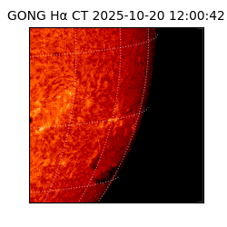 gong - 2025-10-20T12:00:42