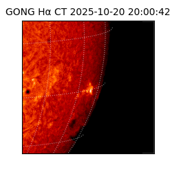 gong - 2025-10-20T20:00:42